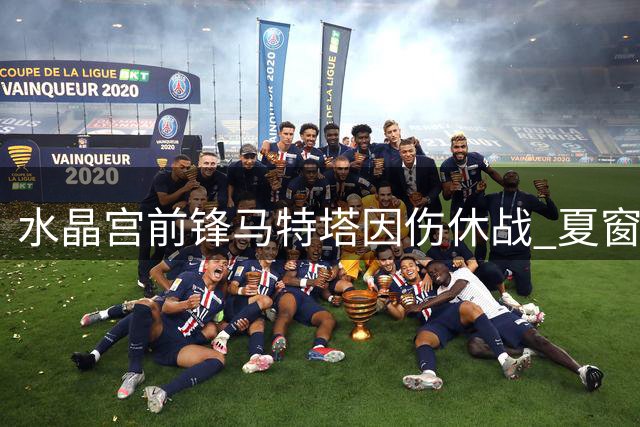 水晶宫前锋马特塔因伤休战 夏窗转会可能性降低
